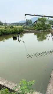 《这里不让停车》上下集