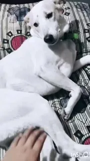 摸吧 ！！！