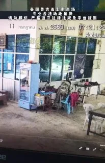 一号队友：救我救我！二号队友：有埋伏，隐蔽！三号队友：卧槽，二号把一号掐了！