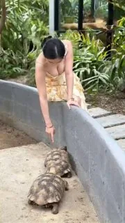 奇怪的知识增加了