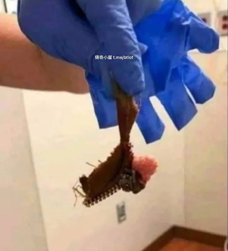 夹死逼勒 拉链 卡逼了 #虐逼